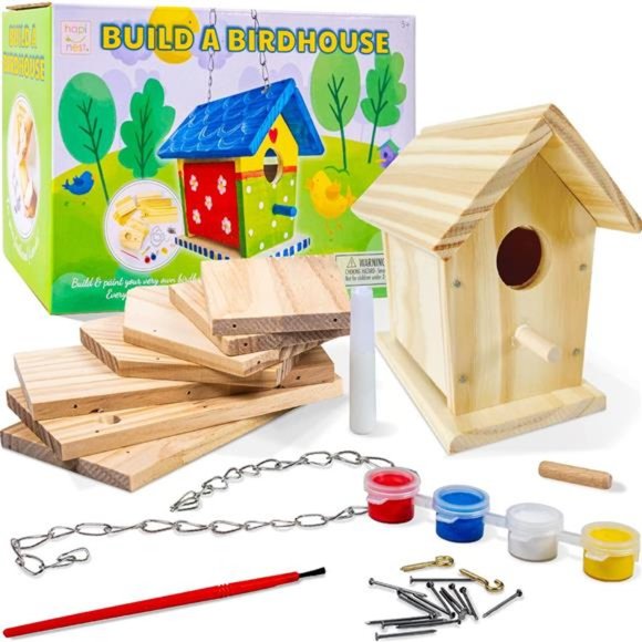 Build and Paint a Wooden Birdhouse Kit for Kids - Woodworking Craft Activity